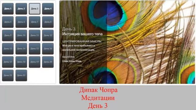 ИДЕАЛЬНОЕ ЗДОРОВЬЕ. Дипак Чопра. День 3. ИНТУИЦИЯ ВАШЕГО ТЕЛА. смотреть онлайн