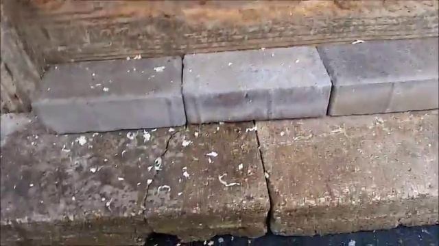 Подготовка вольера и будки для щенков алабая помета "Н"(Russian and English languages) смотреть онлайн