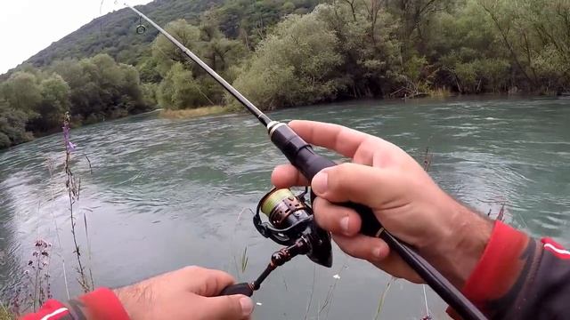 სპინინგით კალმახზე, ловля форель на спиннинг favorite synapse смотреть онлайн