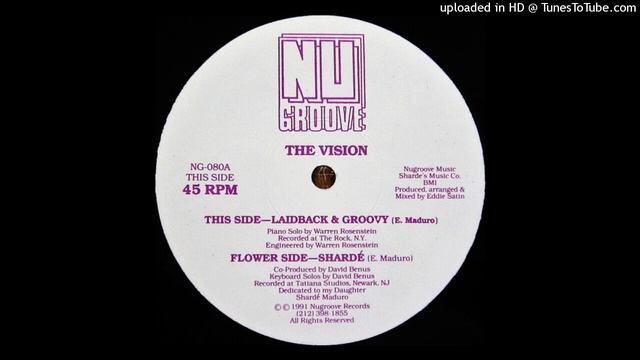 The Vision - Laidback & Groovy смотреть онлайн