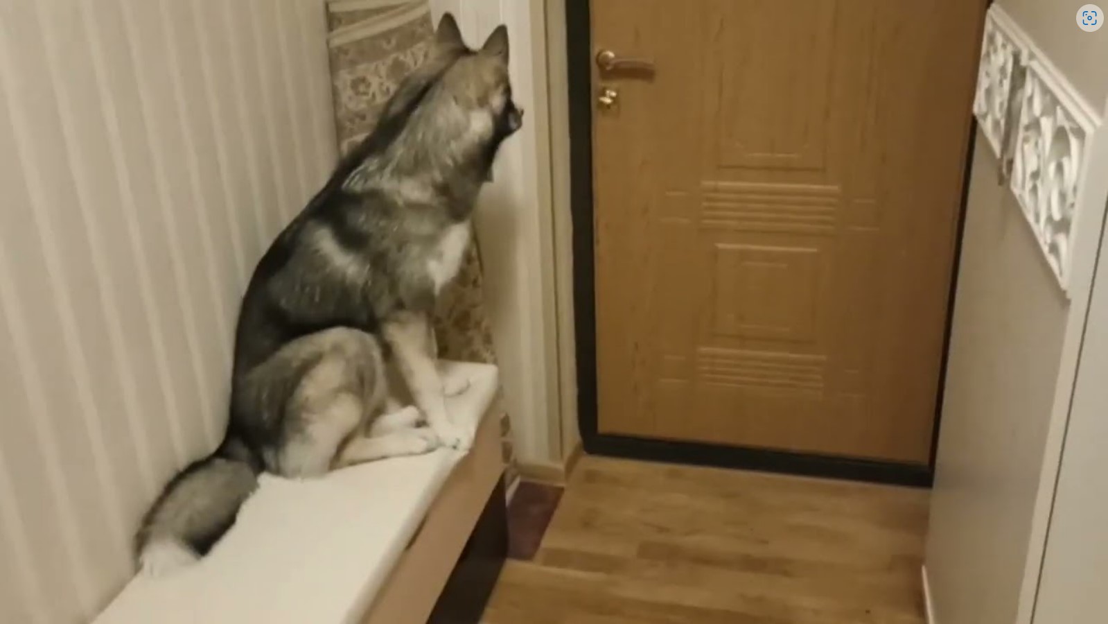 Мама пришла с работы, мама не может снять боты