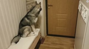 Мама пришла с работы, мама не может снять боты