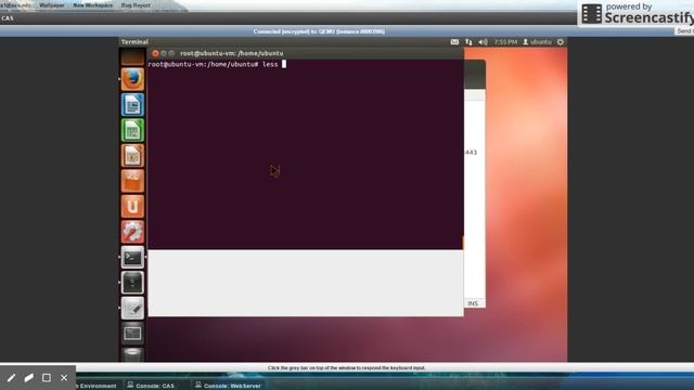 Computer Network Security - CAS & LDAP Authentication смотреть онлайн
