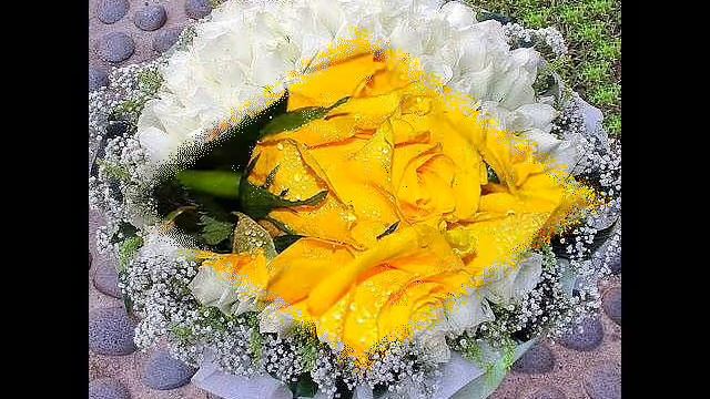 Самые красивые цветы, для самых красивых! смотреть онлайн