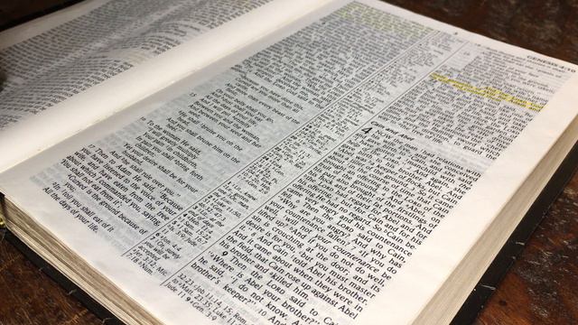 DAY 1 - MON (GENESIS 1-5) READ THROUGH THE BIBLE IN ONE YEAR смотреть онлайн