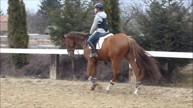 Vyskein.wmv смотреть онлайн