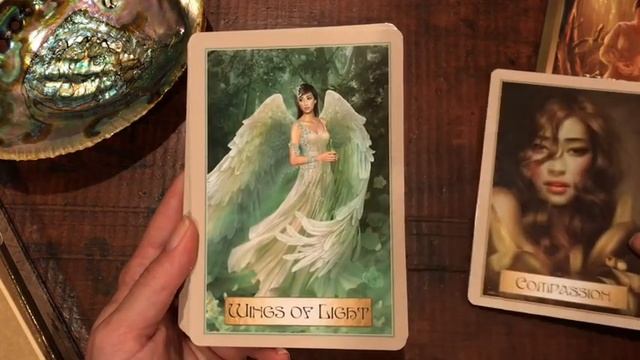 Wisdom of the Golden Path Oracle + Review смотреть онлайн