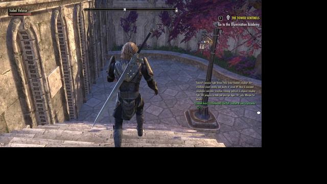 Elder Scrolls Online 2024 03 10 15 45 15 смотреть онлайн
