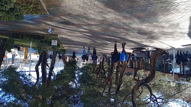 ГЕЛЕНДЖИК. Вроде как март... смотреть онлайн