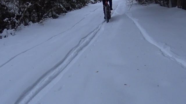 Сосновый бор ??♀️??♀️Санкт-Петербург 2022 на fatbike. Часть 2 смотреть онлайн