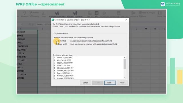 [WPS Academy] 1.7.7 Excel:Text to Columns Sort data quickly смотреть онлайн