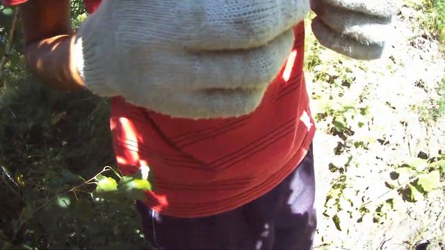 Мотоблок/ Покатушки №5 смотреть онлайн