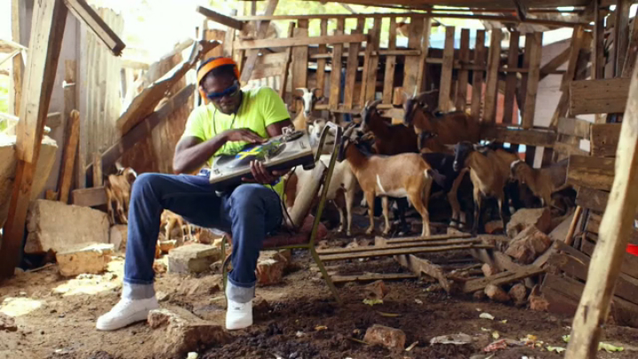 Elliphant - Music Is Life смотреть онлайн