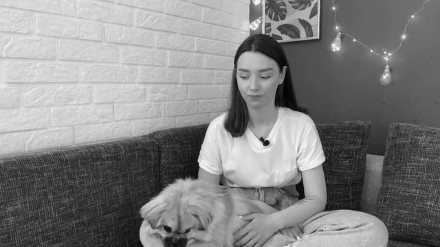 ПЕКИНЕС: личный опыт содержания | Всё о собаке породы ПЕКИНЕС смотреть онлайн