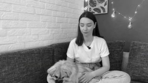 ПЕКИНЕС: личный опыт содержания  | Всё о собаке породы ПЕКИНЕС