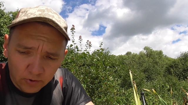 Экскурсия по саду и огороду ЖКВ. Представляете сколько работы если рассказ получился на ЧАС?! смотреть онлайн