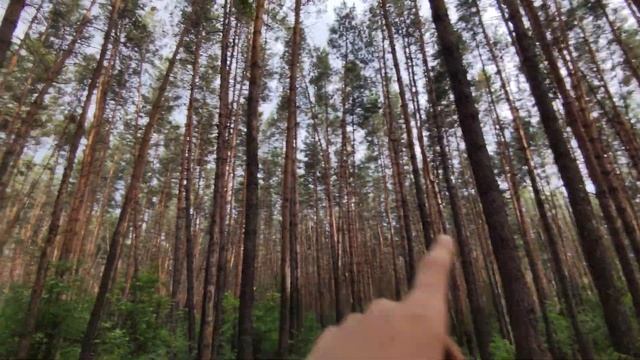 • КОП на СТАРОЙ ДОРОГЕ по КАРТАМ ШУБЕРТА! ЧАСТЬ 1! смотреть онлайн