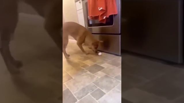 На это можно смотреть вечно смотреть онлайн