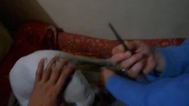 Фоксблог. Вытаскиваем клеща #1 смотреть онлайн
