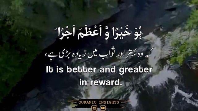 Surah Al-Muzzammil : 20 | Sharif Mustafa | Quran recitation status | QURANIC INSIGHTS... смотреть онлайн
