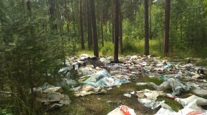 Убираем лес Ковров черный дол 2020 год все видео целиком