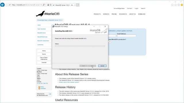 [Delphi] FireDAC + MariaDB CRUD Example #1 MariaDB Installation смотреть онлайн