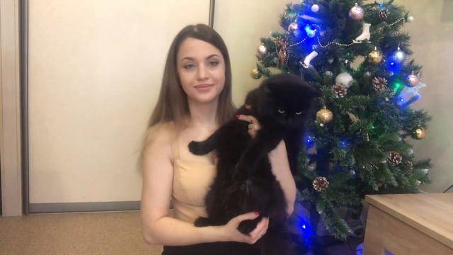 Теплый блог. Подготовка к Новому Году 2023 смотреть онлайн