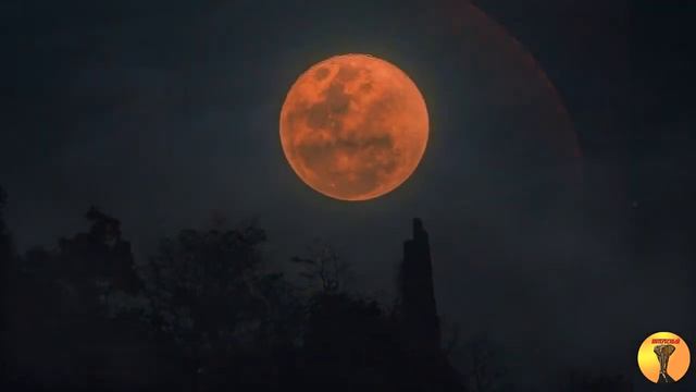 6 странностей, в которые люди верили раньше смотреть онлайн