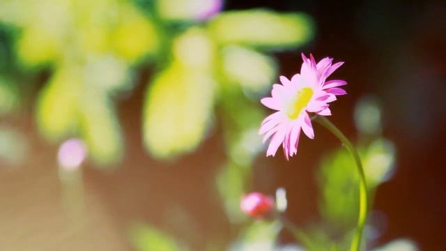 ЧИСТЫЙ ЧЕТВЕРГ перед ПАСХОЙ | Что нужно делать в чистый четверг смотреть онлайн