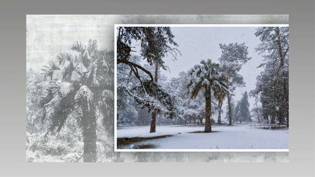 Агудзера зимняя сказка