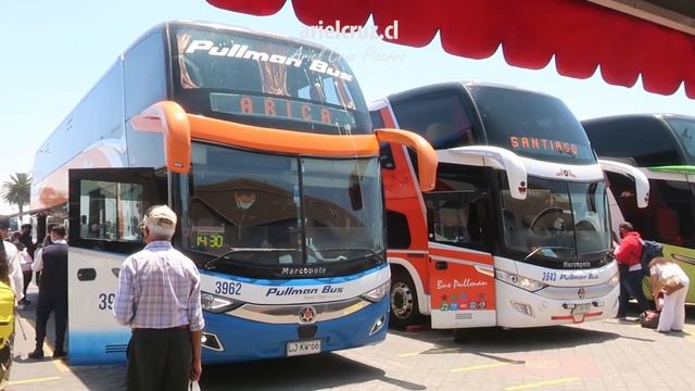 MIRANDO BUSES en LA SERENA (Chile) - 20 Enero 2021 / 22 Enero 2021 смотреть онлайн