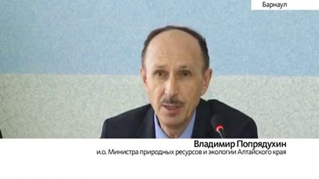 Численность водоплавающих птиц в водоемах края стабилизировалась смотреть онлайн