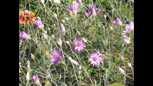 Июнь смотреть онлайн