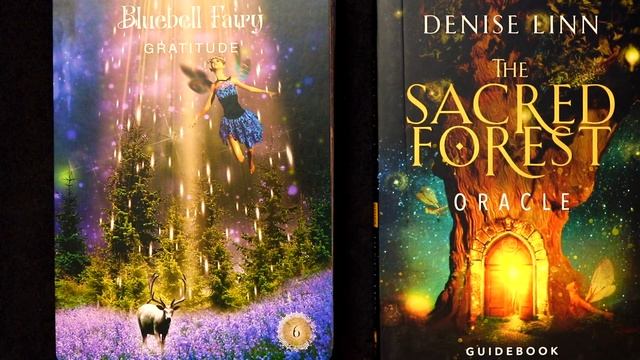 The Sacred Forest Oracle | Review & Walkthrough смотреть онлайн