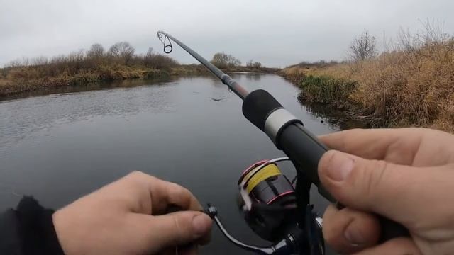 Обзор посылки с воблерами ТцуЙоки 2021 из Rybalkashop Ru