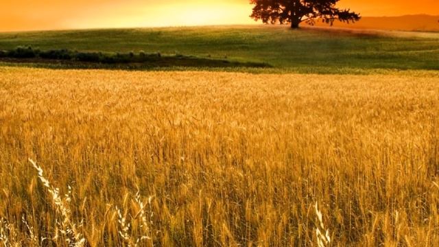 Система Фрэнка Кинслоу. Медитация "Эйфо-Покой" смотреть онлайн
