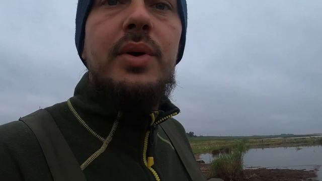 Ловля сазана на фидер. Ловля сазана и карпа на кружки. Сломало фидер. Битва прикормок. Рыбалка 2020 смотреть онлайн