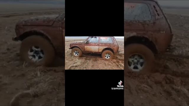 Нива ещё может смотреть онлайн