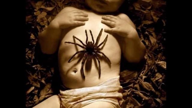 очень страшное видео , страшно ?\scary videos, scary? смотреть онлайн
