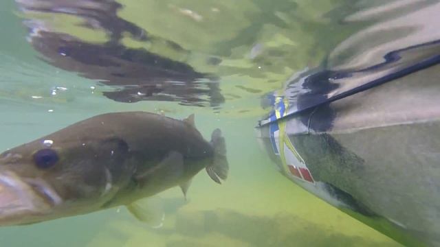 Upstate New York- Hidden lake kayak fishing with Bassquatch Hunter смотреть онлайн