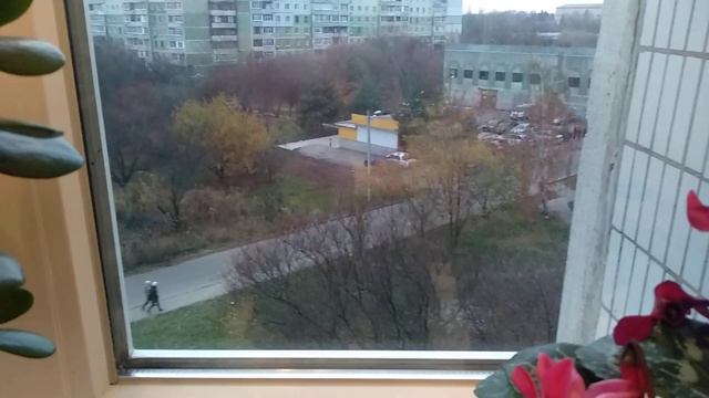 Магия ,трудолюбие,и любовь!!! смотреть онлайн