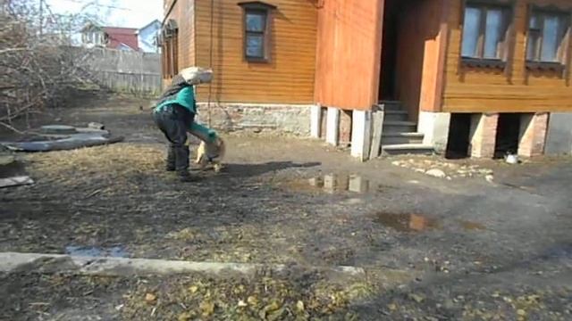 Эдик. Атака через других собак смотреть онлайн