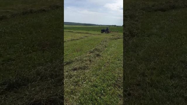 6 июня 2020 г.граблі солнешко сінтай 118n