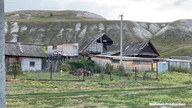 «Нашествие енотов» в Канаде и России «По тропе Енота»! Еноты в Канаде это беда! В России туризм! смотреть онлайн
