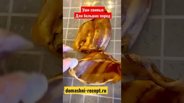 Уши свиные деликатес лакомства для собак больших и средних пород от производителя ДОМАШНИЙ РЕЦЕПТ смотреть онлайн