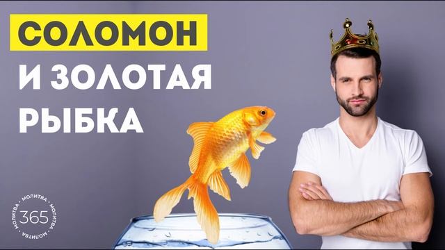 Соломон и сказка о золотой рыбке смотреть онлайн