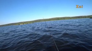 Ловля рыбы в ТЕРМОКЛИН + лайфак по монтажу ПОРОЛОНОК.