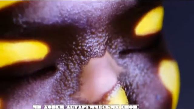 ЧВ Ловец летаргических снов смотреть онлайн