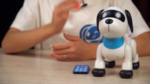 Роботсобака IQ BOT «Дружок Лакки» световые и звуковые эффекты (Арт ДетМир - 1000887883 )