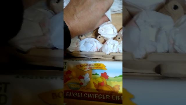 Инк. яйцо из Немецкой ассоциации хохлатых кур смотреть онлайн